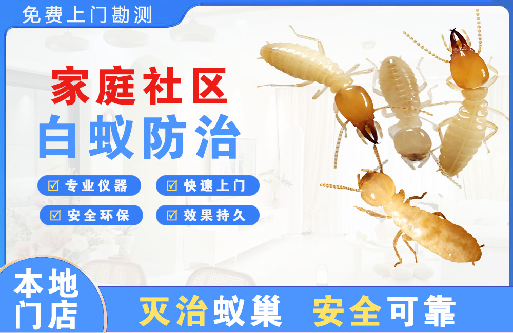 台山家庭社区白蚁防治