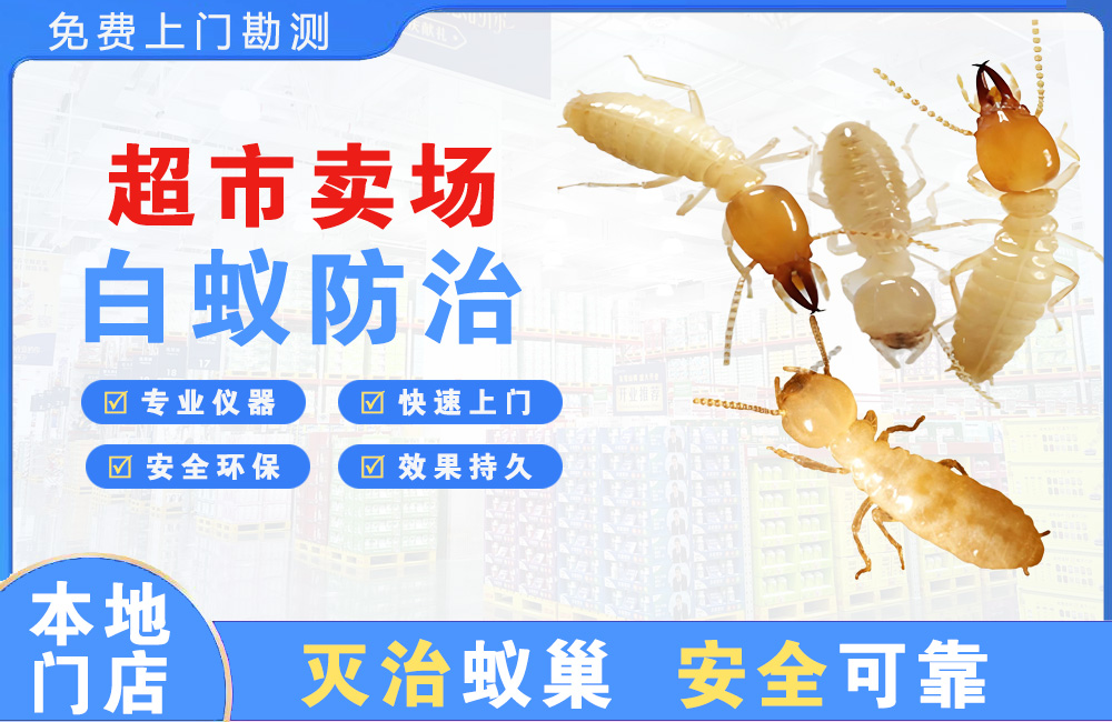 台山超市卖场白蚁防治