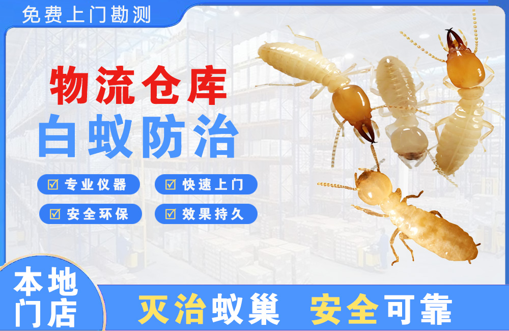 台山物流仓库白蚁防治
