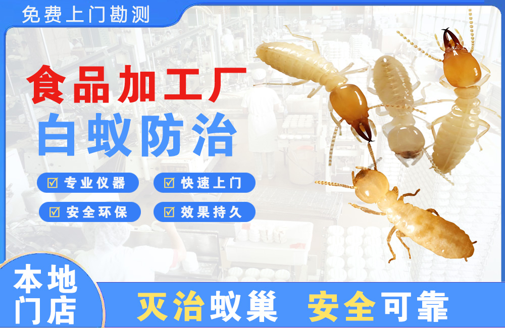 台山食品加工厂白蚁防治