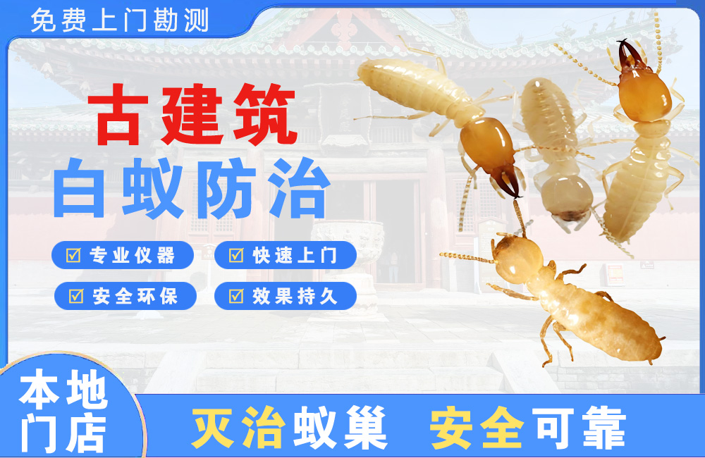 台山古建筑白蚁防治