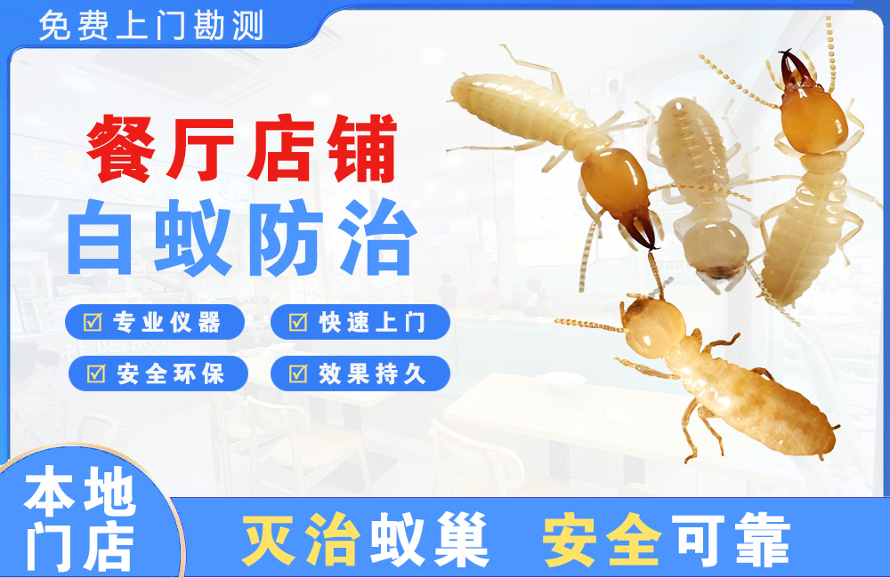 台山餐厅店铺白蚁防治